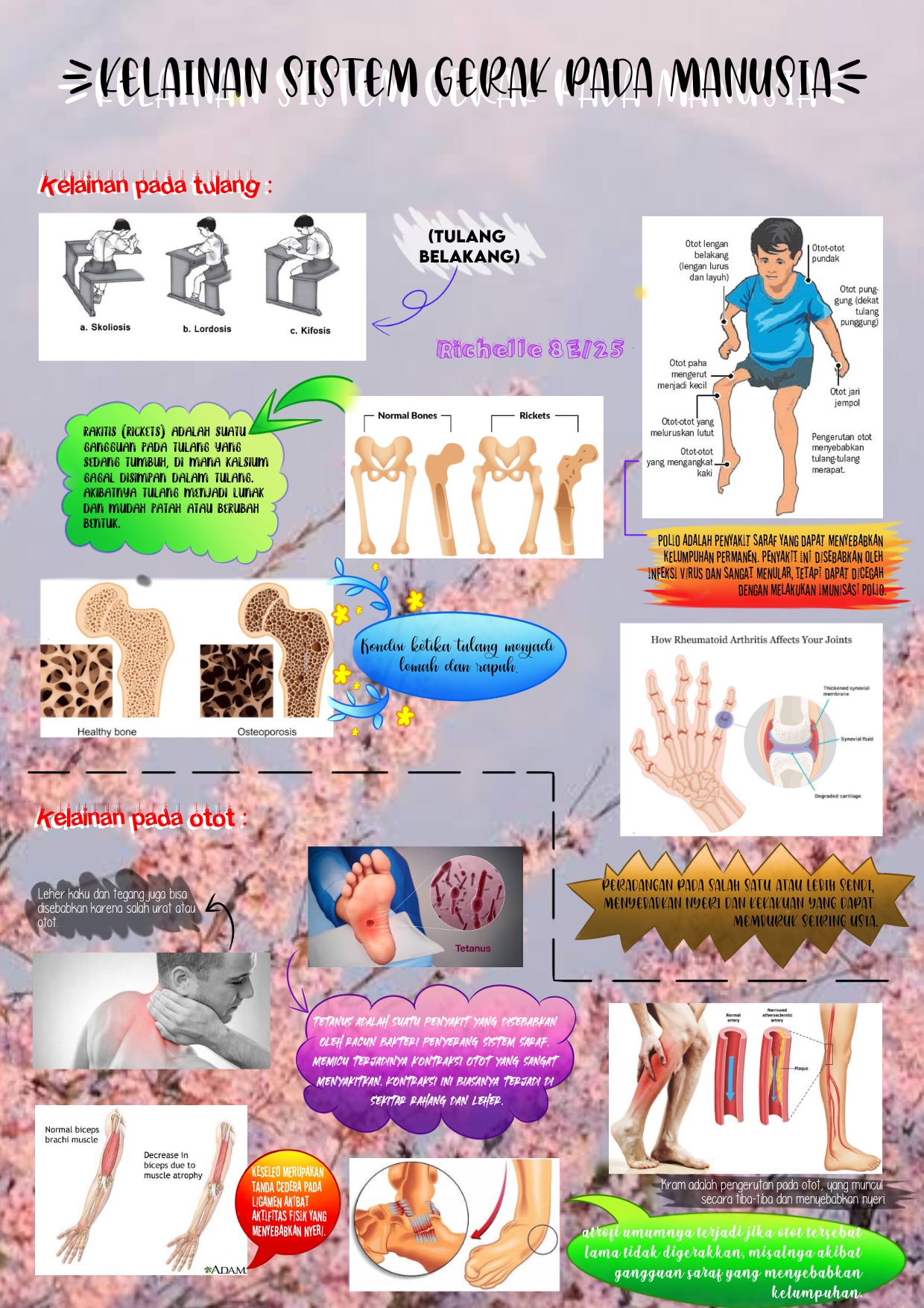 Sampul